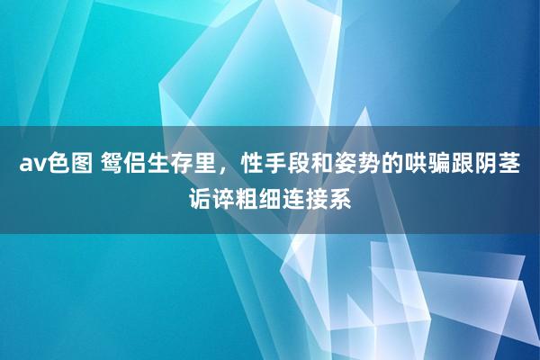 av色图 鸳侣生存里，性手段和姿势的哄骗跟阴茎诟谇粗细连接系