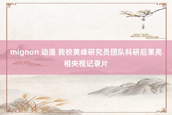 mignon 动漫 我校黄峰研究员团队科研后果亮相央视记录片