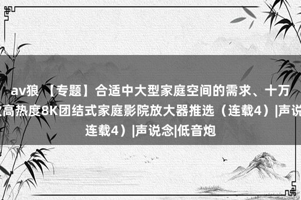 av狼 【专题】合适中大型家庭空间的需求、十万元以内6款高热度8K团结式家庭影院放大器推选（连载4）|声说念|低音炮