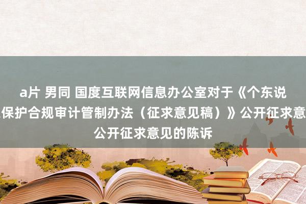 a片 男同 国度互联网信息办公室对于《个东说念主信息保护合规审计管制办法（征求意见稿）》公开征求意见的陈诉