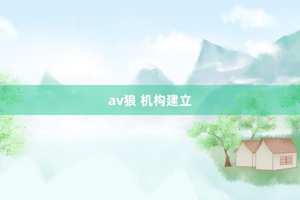 av狼 机构建立