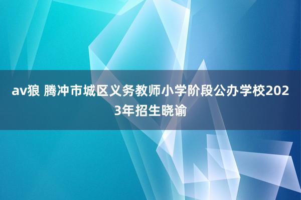 av狼 腾冲市城区义务教师小学阶段公办学校2023年招生晓谕