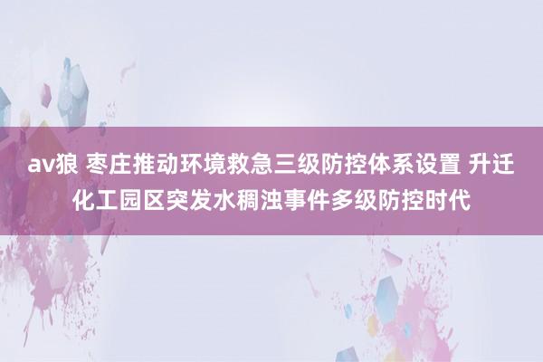 av狼 枣庄推动环境救急三级防控体系设置 升迁化工园区突发水稠浊事件多级防控时代