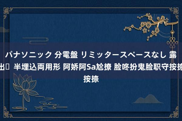 パナソニック 分電盤 リミッタースペースなし 露出・半埋込両用形 阿娇阿Sa尬撩 脸咚扮鬼脸职守按捺