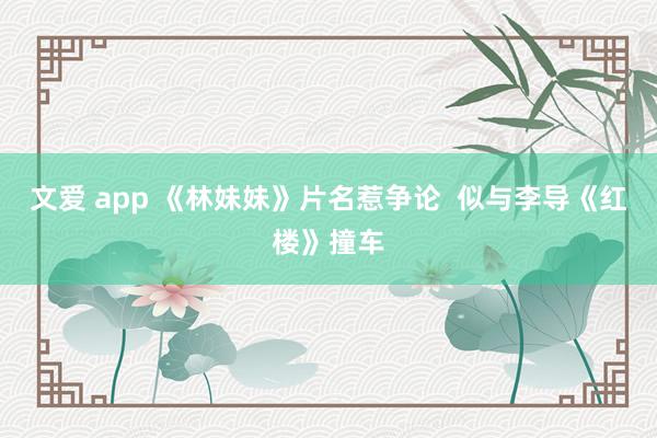 文爱 app 《林妹妹》片名惹争论  似与李导《红楼》撞车