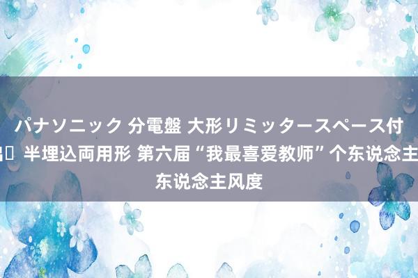 パナソニック 分電盤 大形リミッタースペース付 露出・半埋込両用形 第六届“我最喜爱教师”个东说念主风度