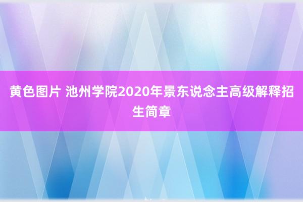 黄色图片 池州学院2020年景东说念主高级解释招生简章