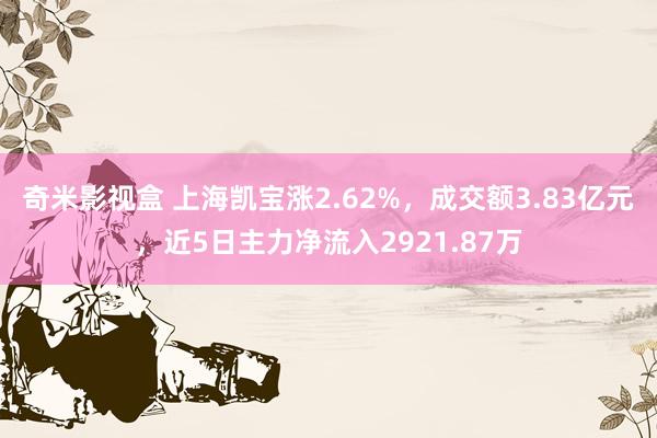 奇米影视盒 上海凯宝涨2.62%，成交额3.83亿元，近5日主力净流入2921.87万