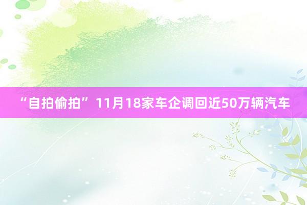 “自拍偷拍” 11月18家车企调回近50万辆汽车