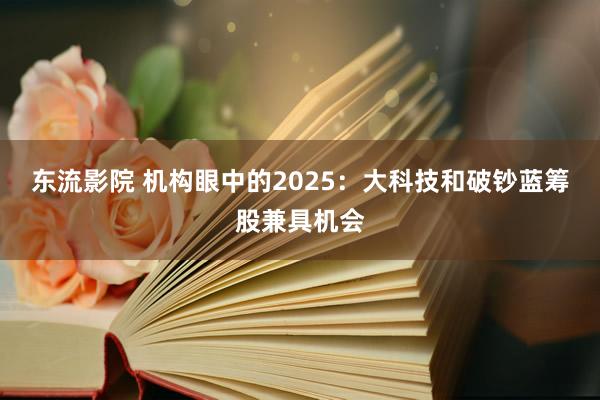 东流影院 机构眼中的2025：大科技和破钞蓝筹股兼具机会