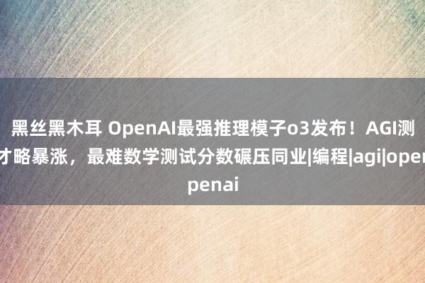 黑丝黑木耳 OpenAI最强推理模子o3发布！AGI测试才略暴涨，最难数学测试分数碾压同业|编程|agi|openai