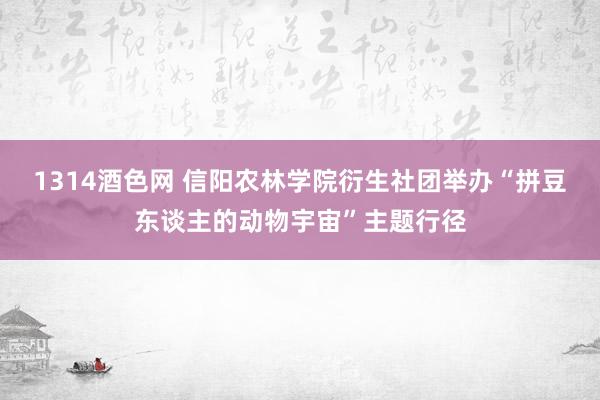 1314酒色网 信阳农林学院衍生社团举办“拼豆东谈主的动物宇宙”主题行径